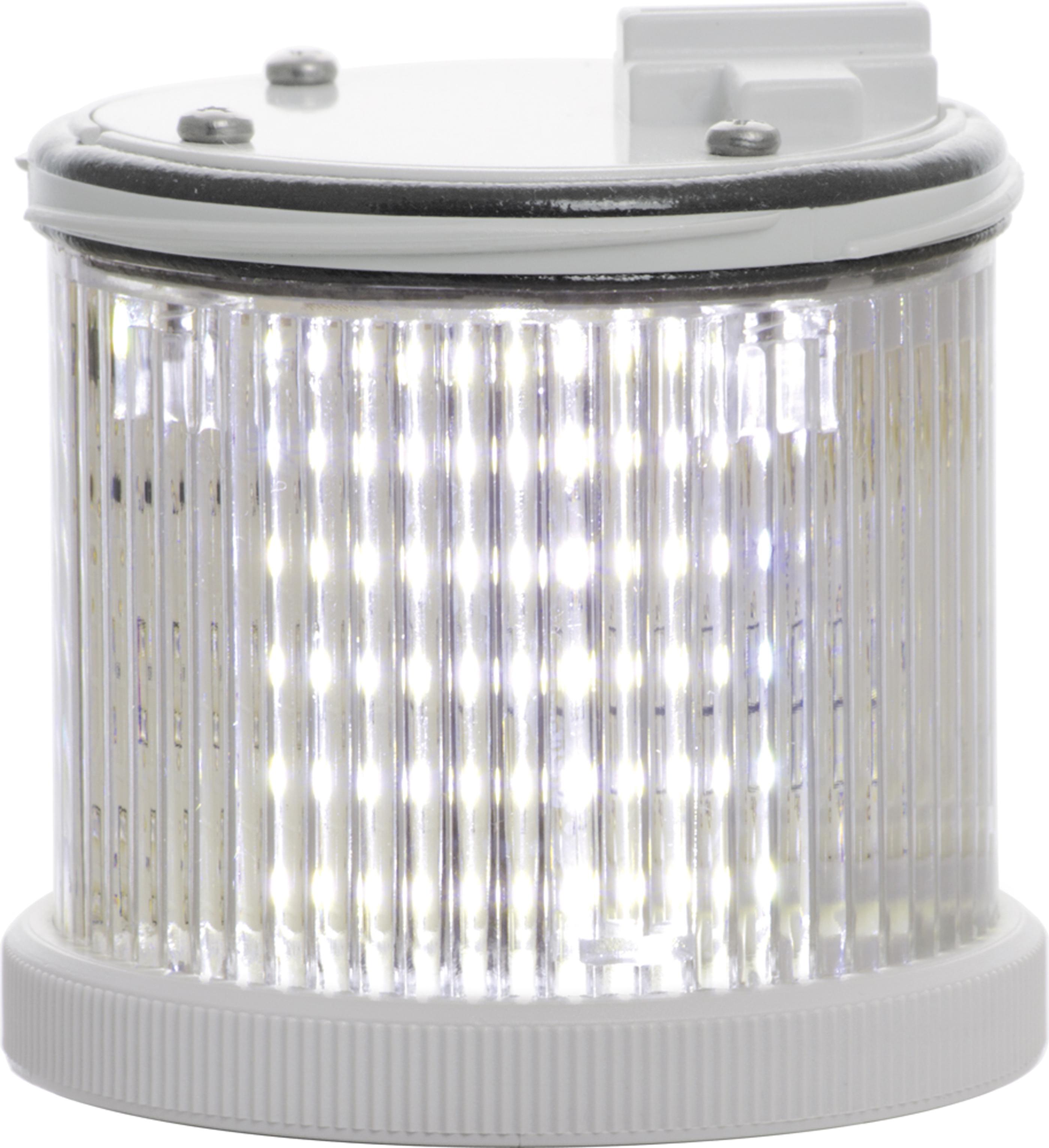 TWS LED : élément lumineux blanc - lumière fixe - lentille colorée - V24ACDC